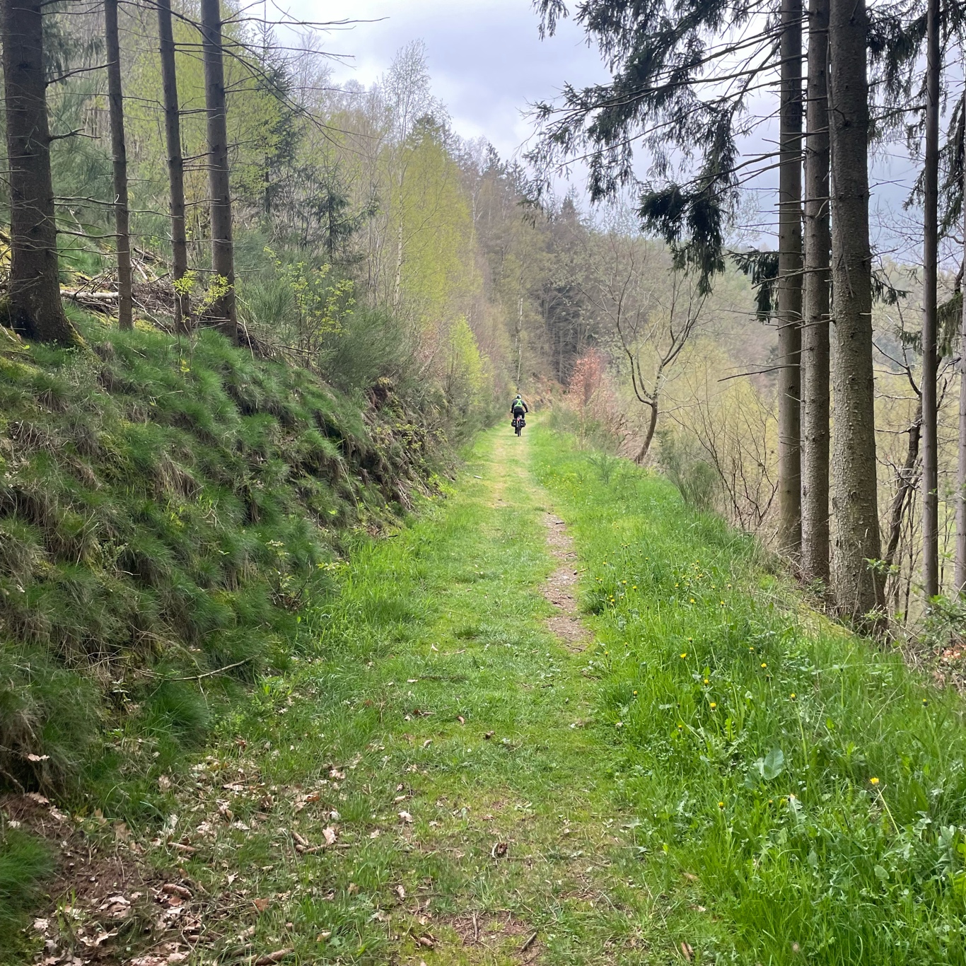 Lunch next to the road