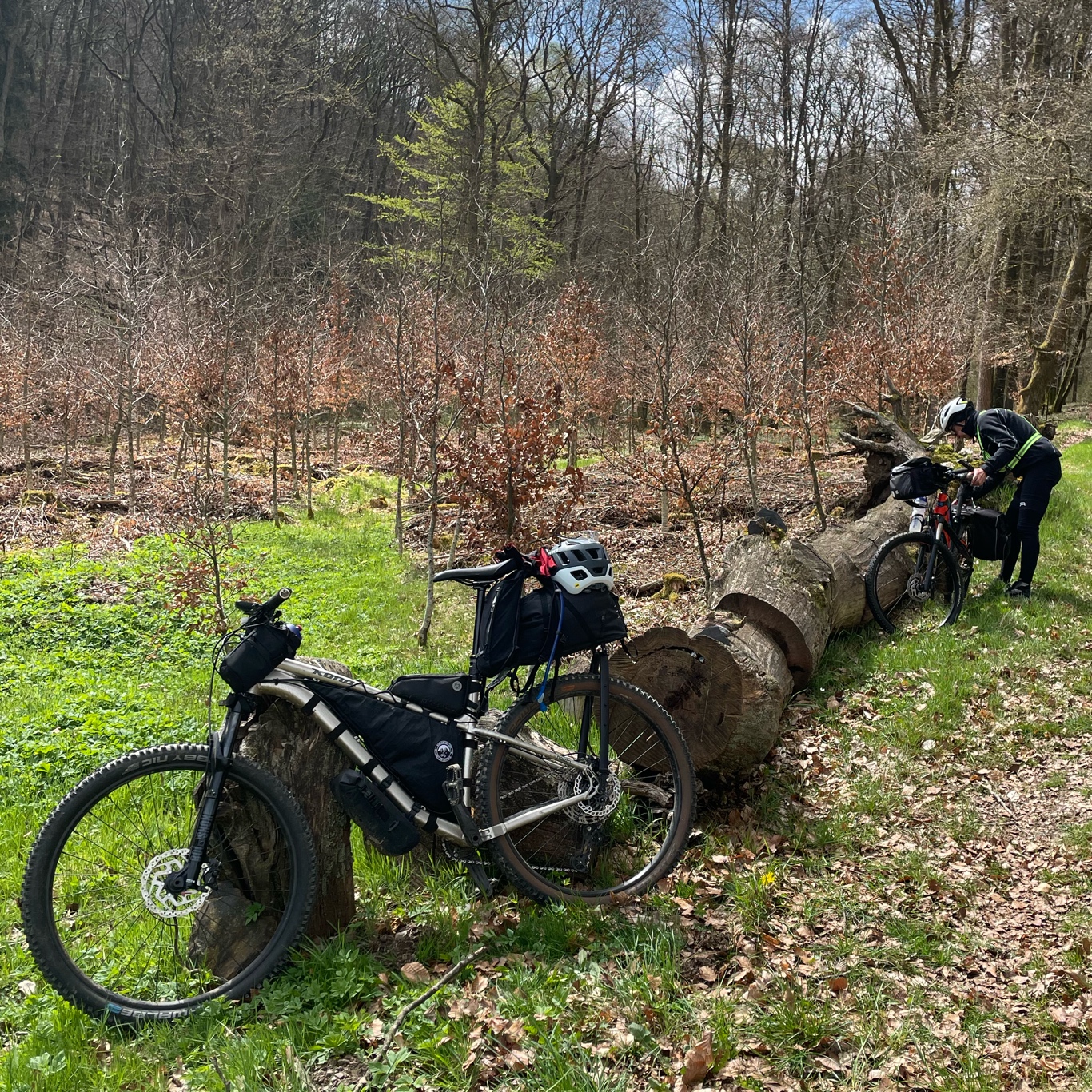 Bridge on Lac de la Haute-Sûre