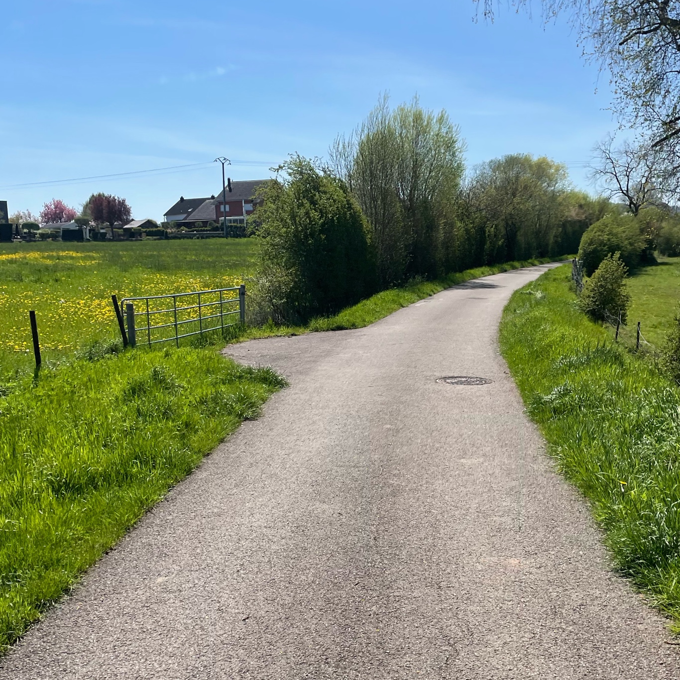 Nice and easy bikepath