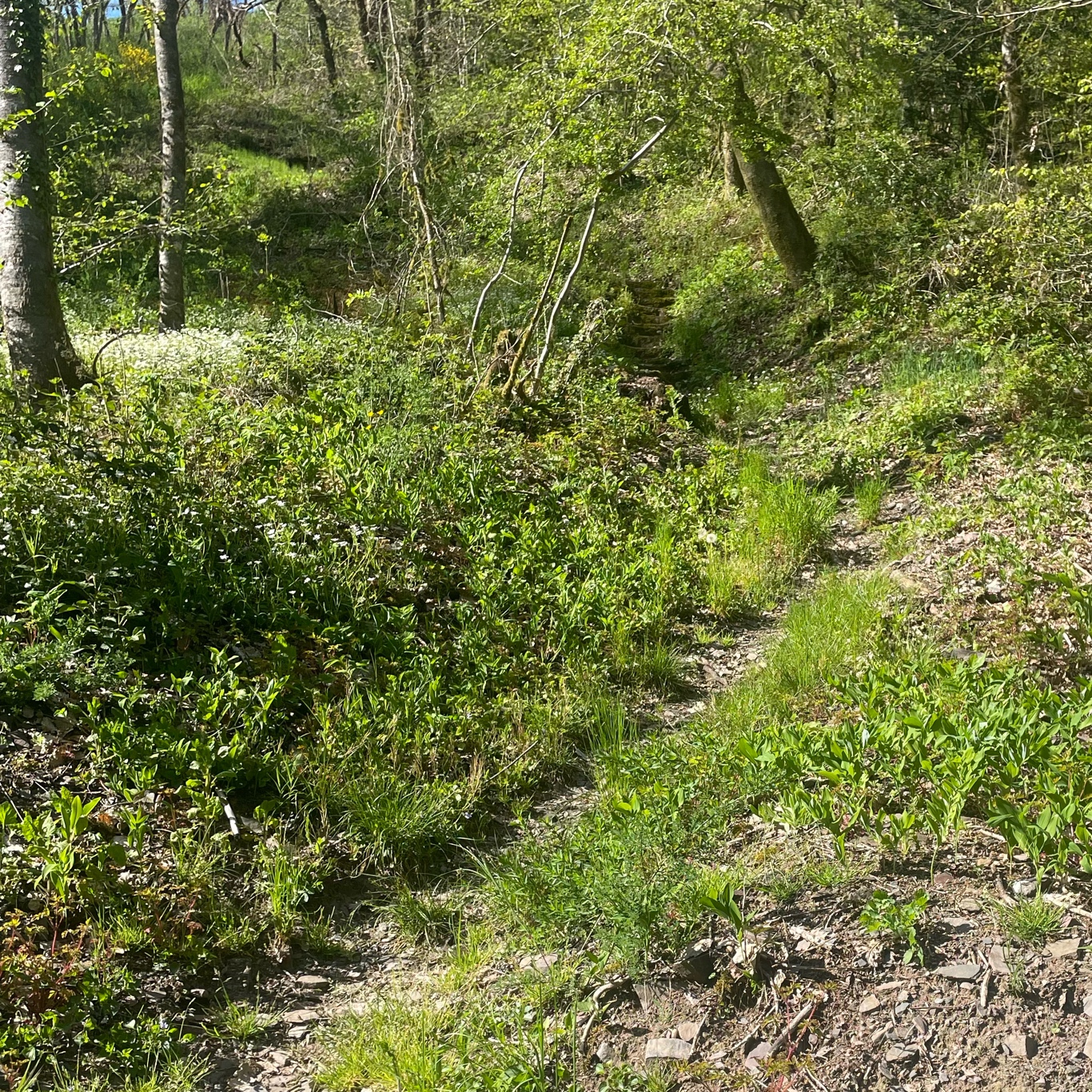 The gold at the top of the climb