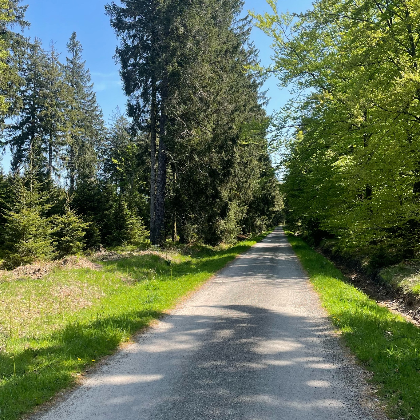 Quite some roads like these today