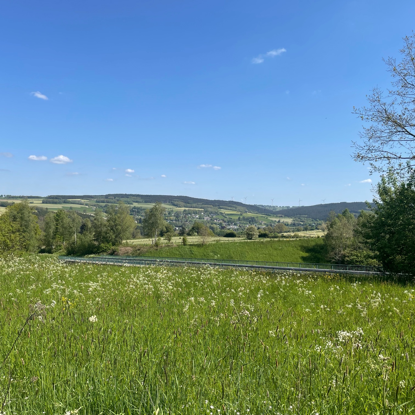 A highway bridge hidden from the view