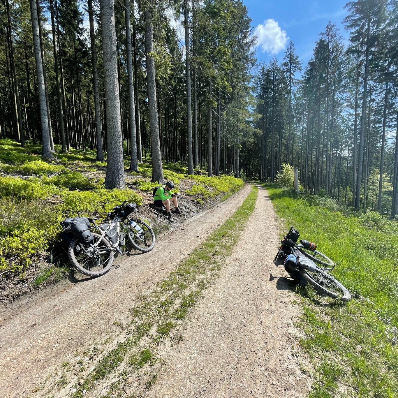 Lunch beside the road