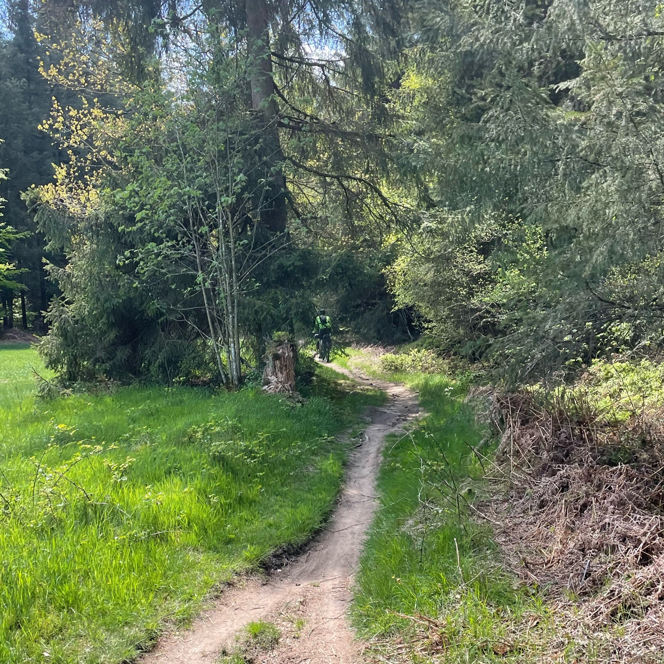 Did i already mention our nice paths?