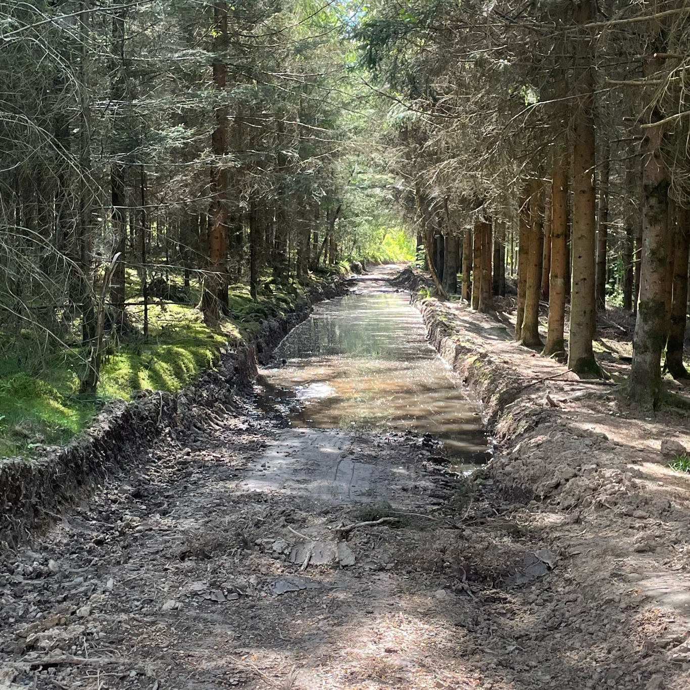 Better to ride around it?