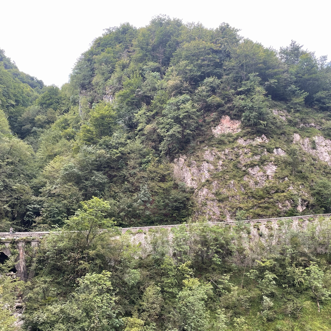 Can you see somebody?