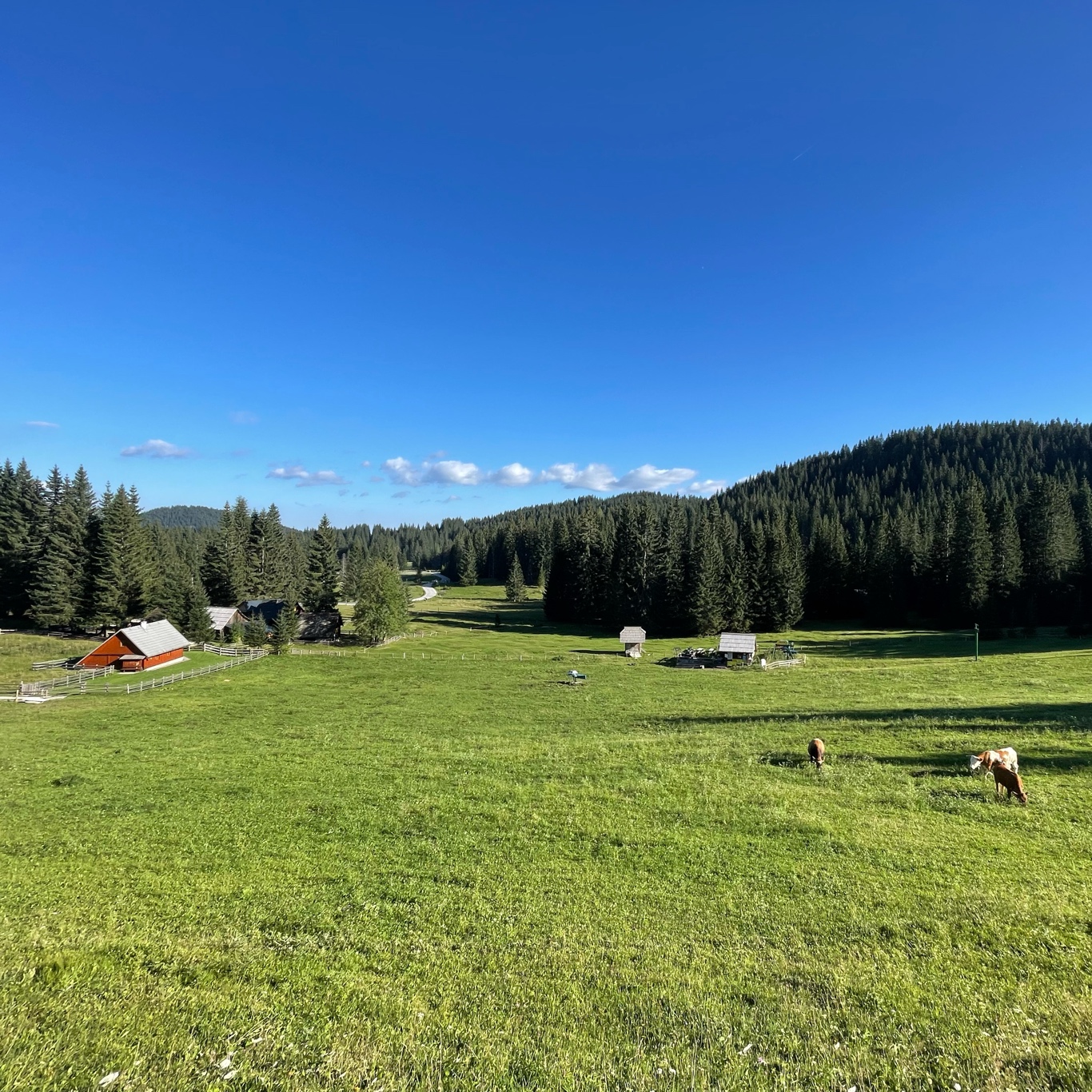 The view from our hotel, yes hotel!