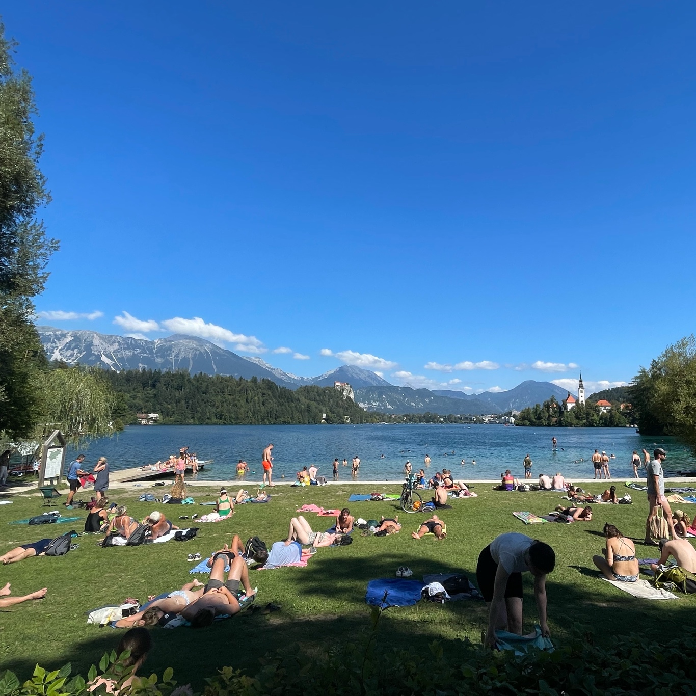 Beautiful but too busy