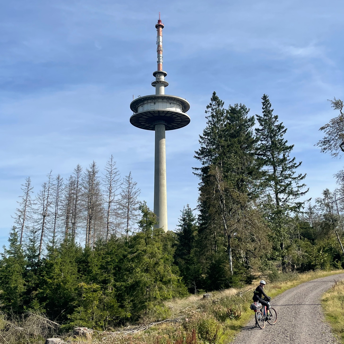 An elaborate cellphone tower?