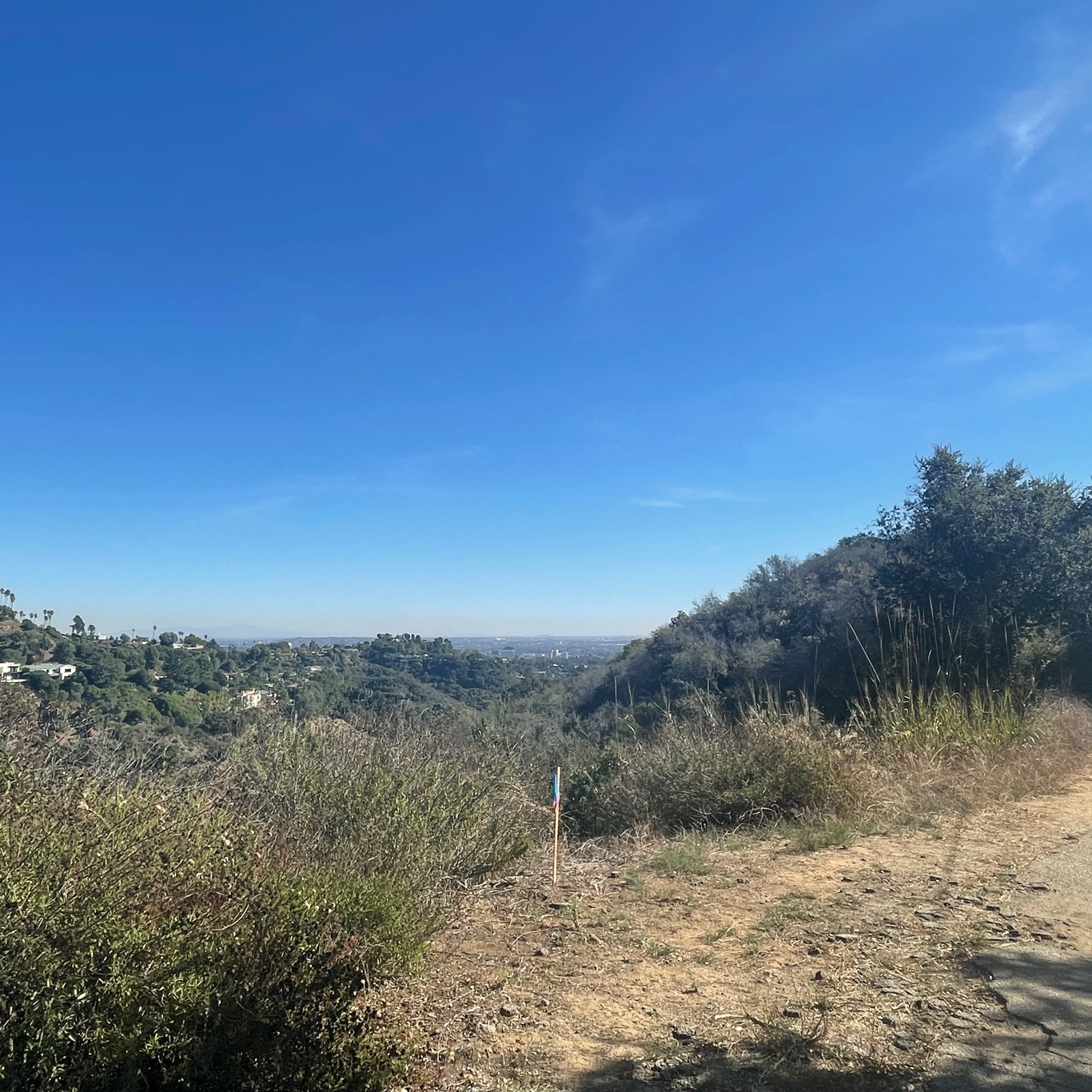 View in the middle of the climb