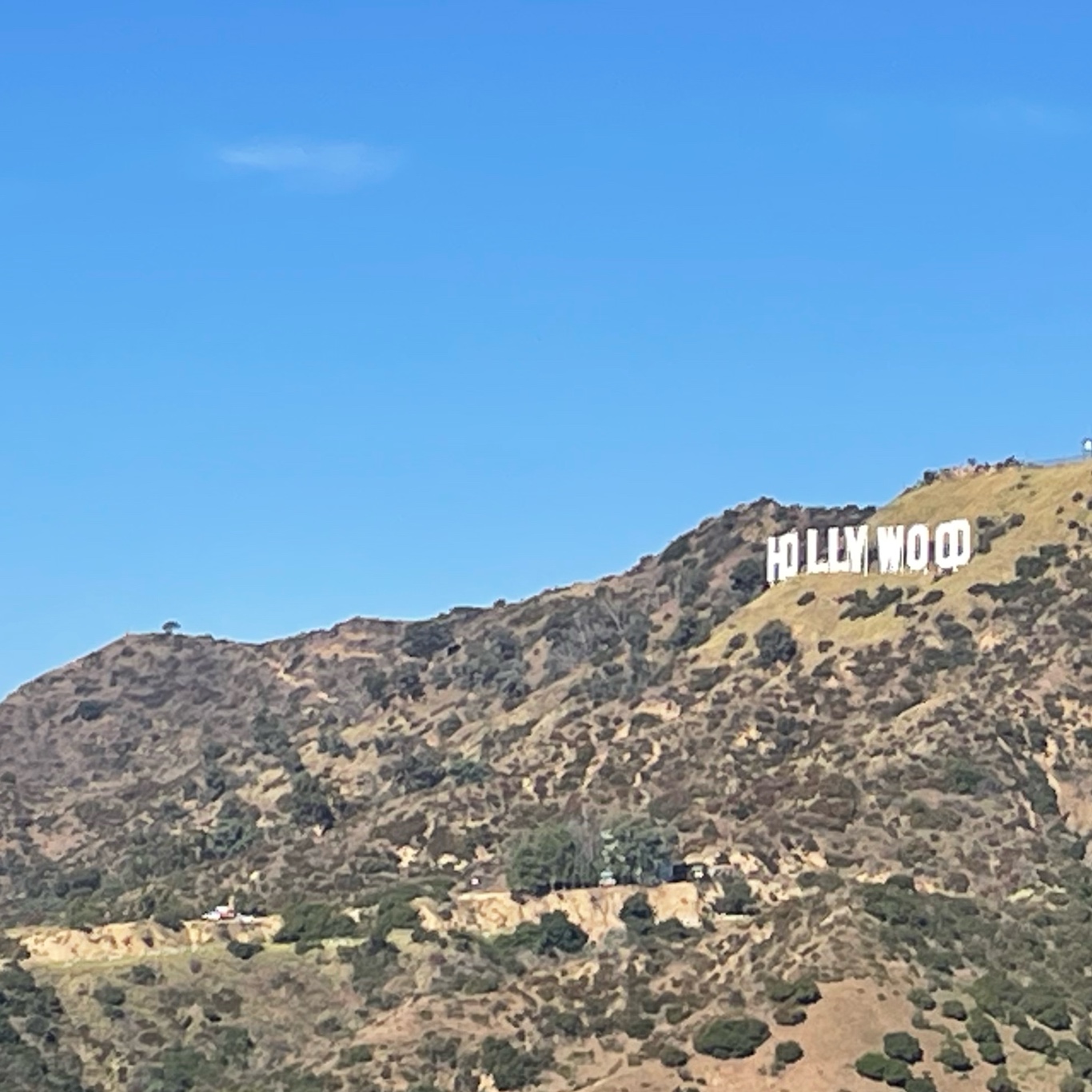 Hollywood baby