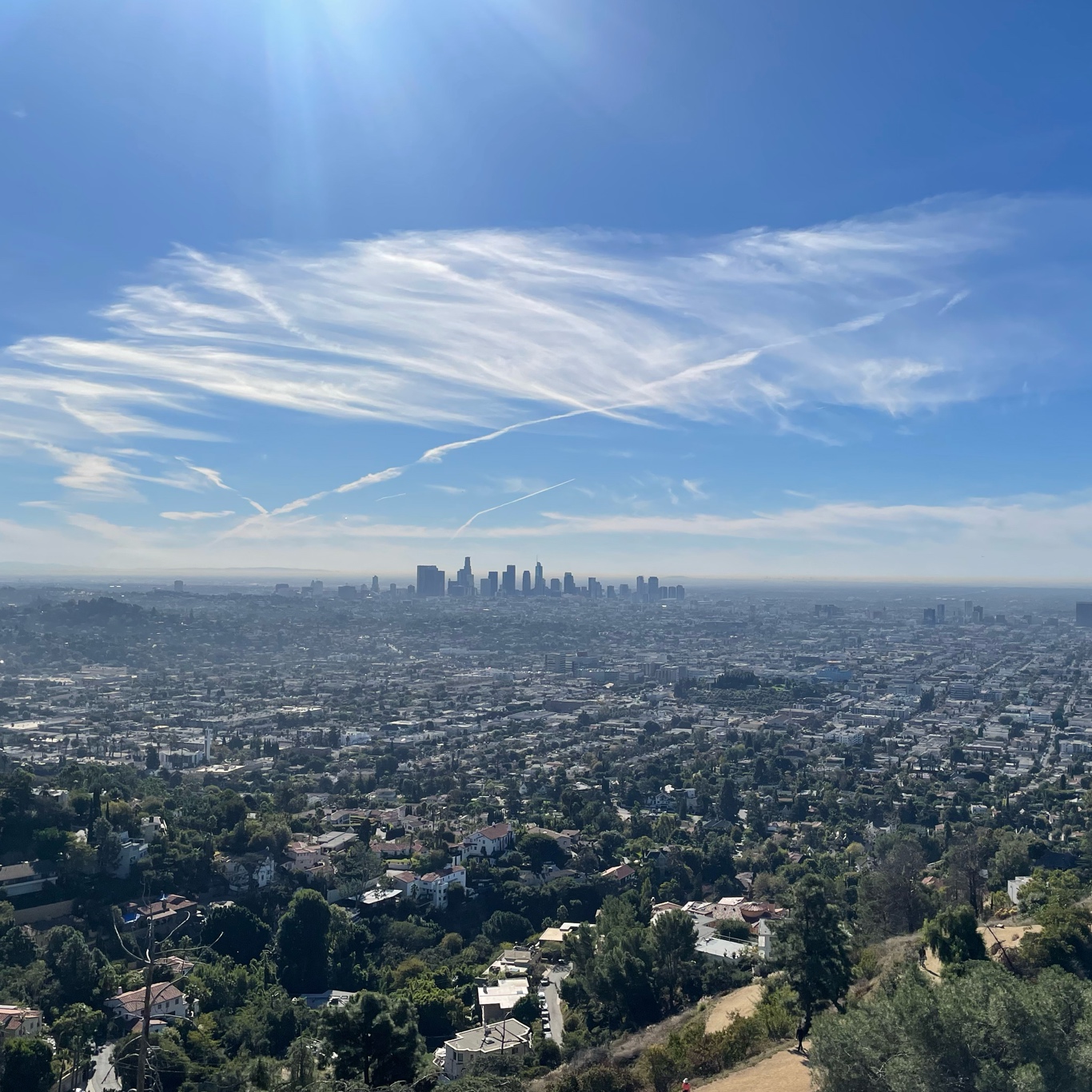 Looking out over downtown LA