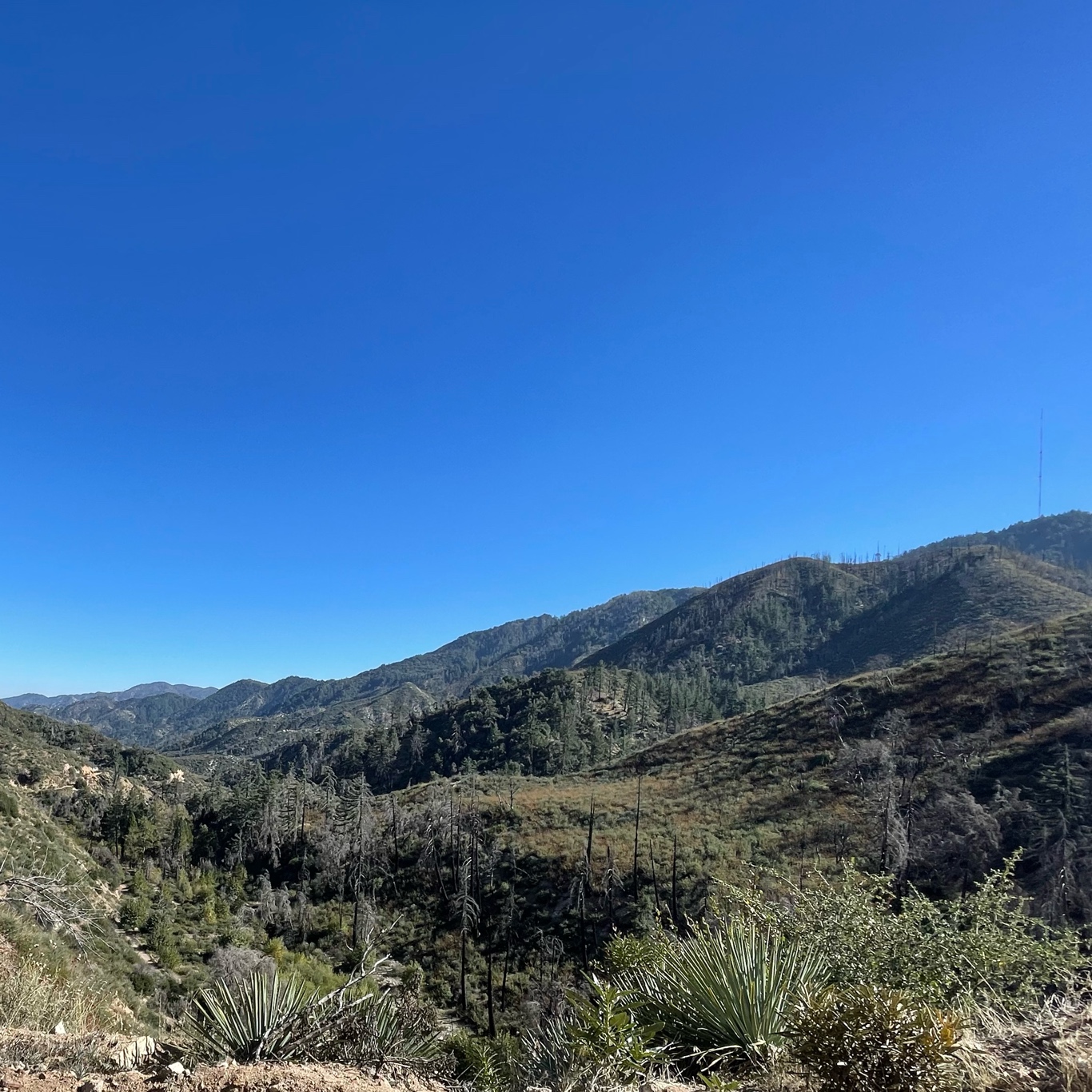 Nice views while going down into the valley