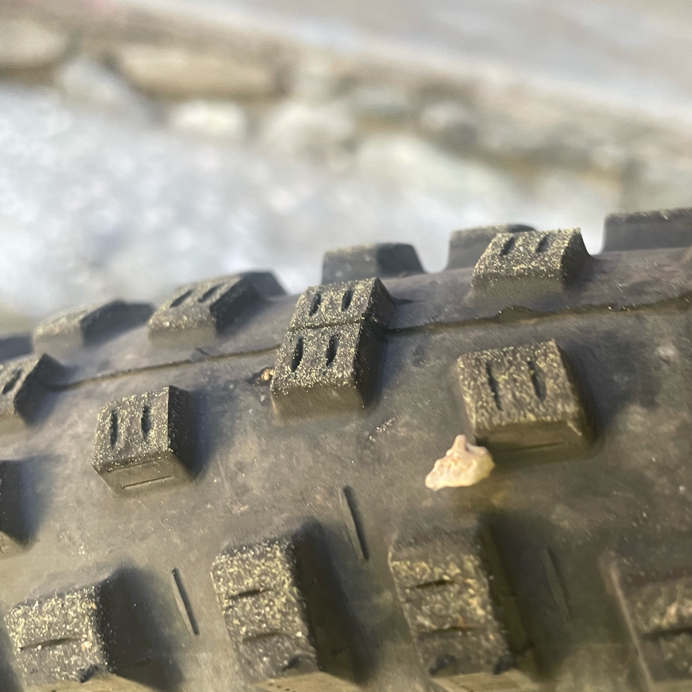 A thorn puncturing my tire