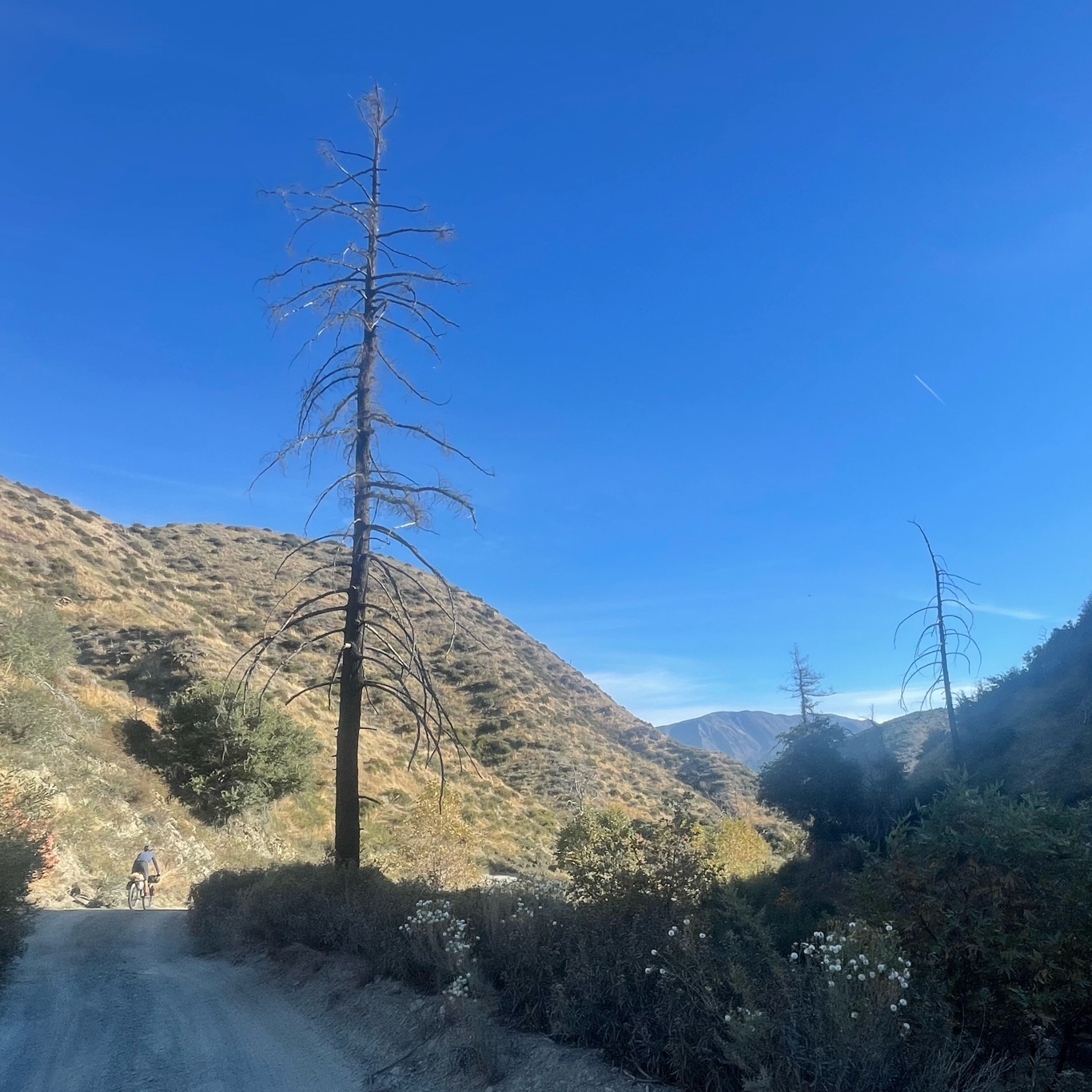 First climb of the day