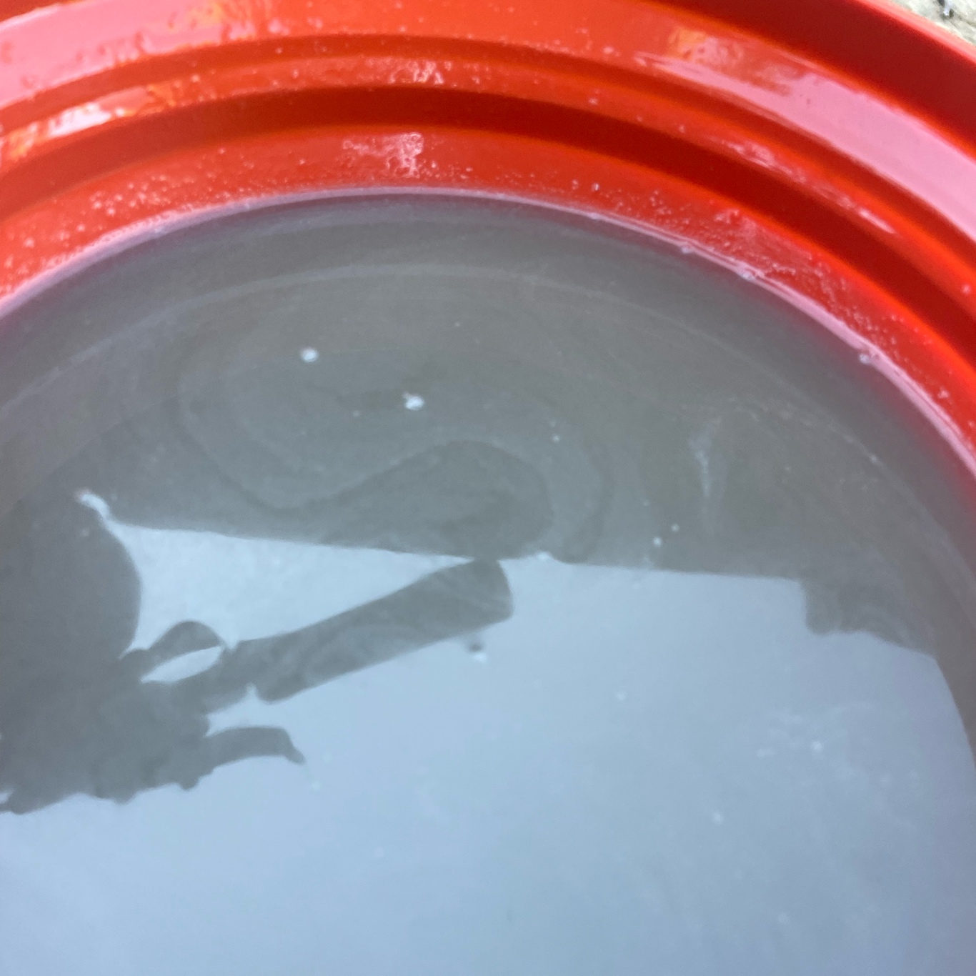 The result of my washing