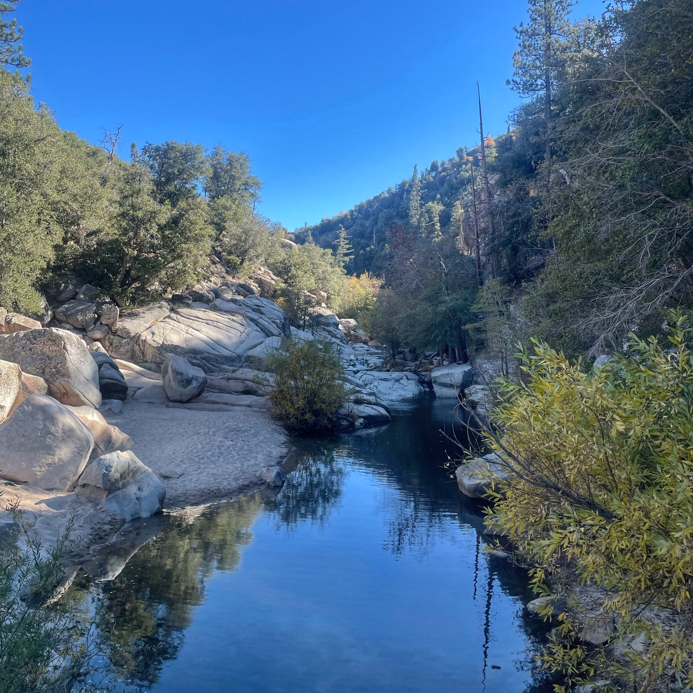 This part of the route has beautiful nature