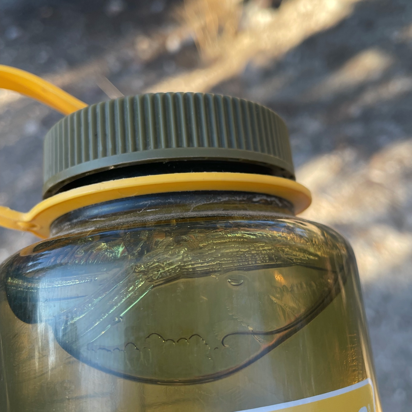 Ice in my drinking bottle