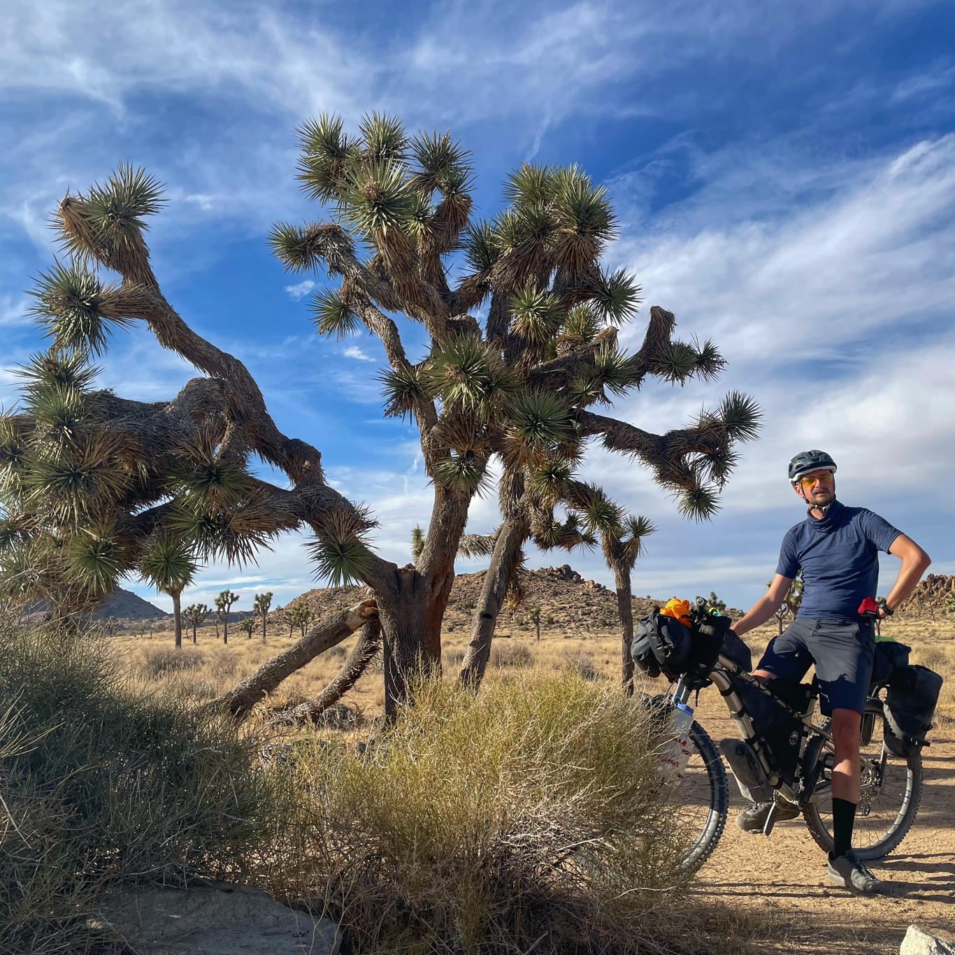 Me, myself and a Joshua tree