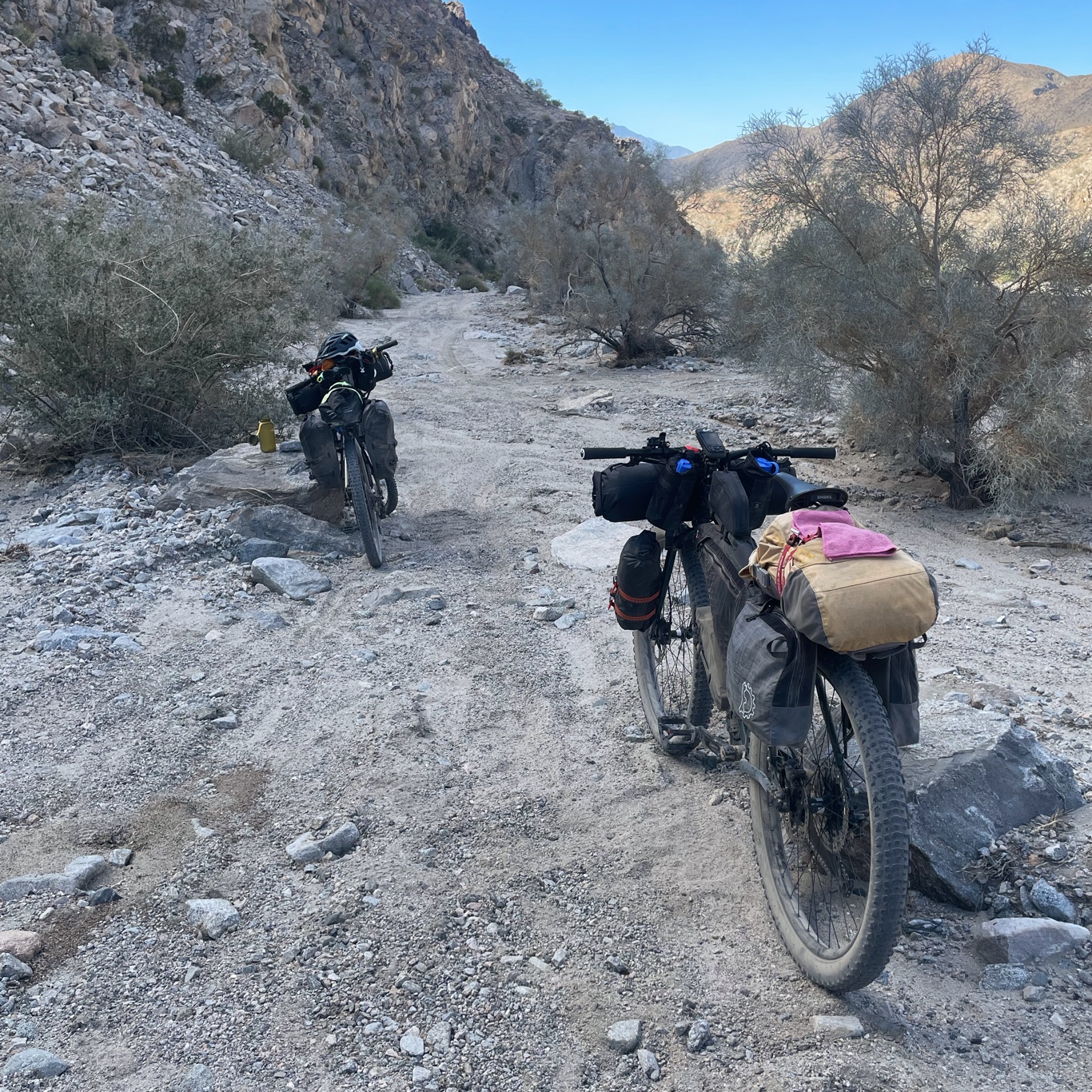 Our bikes having lunch 😝