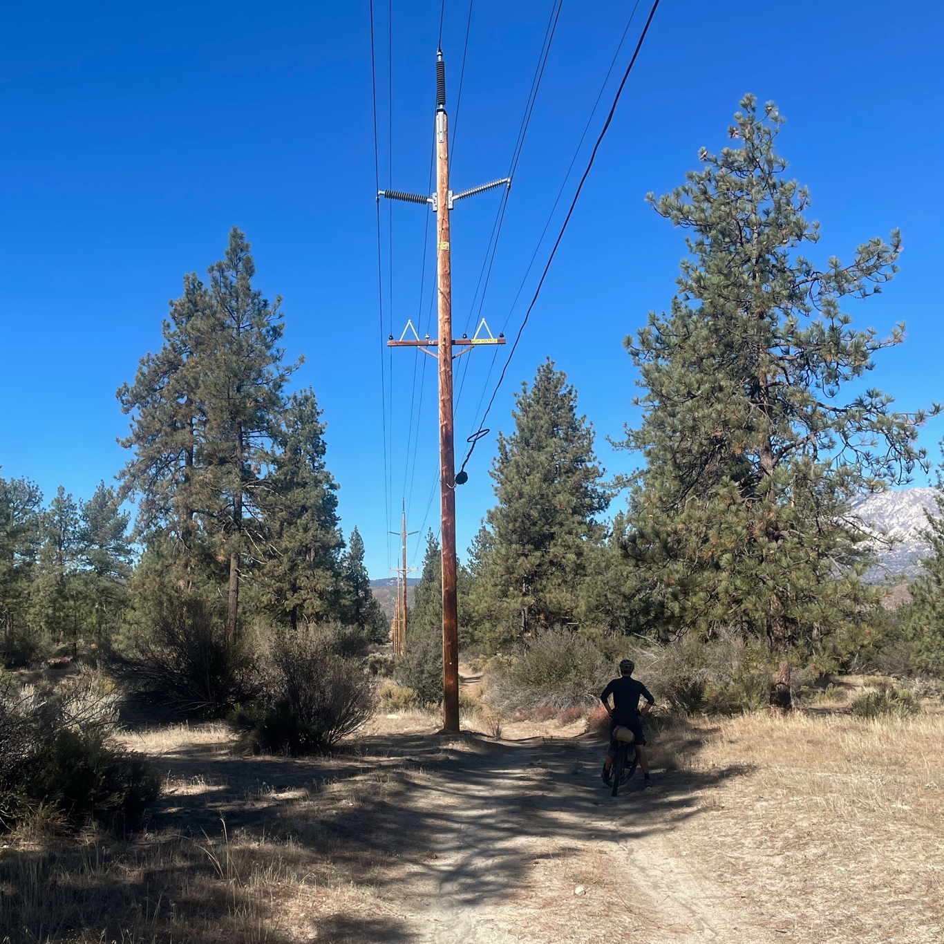Riding the powerlines