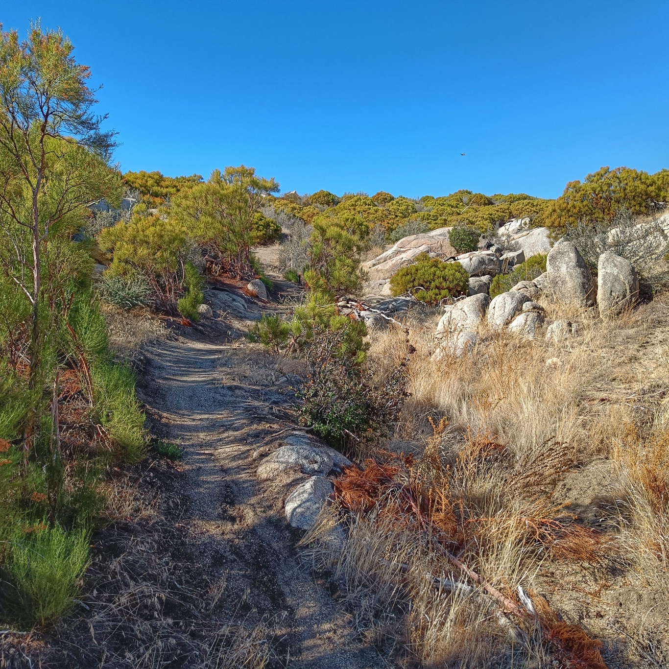 Doing downhill uphill