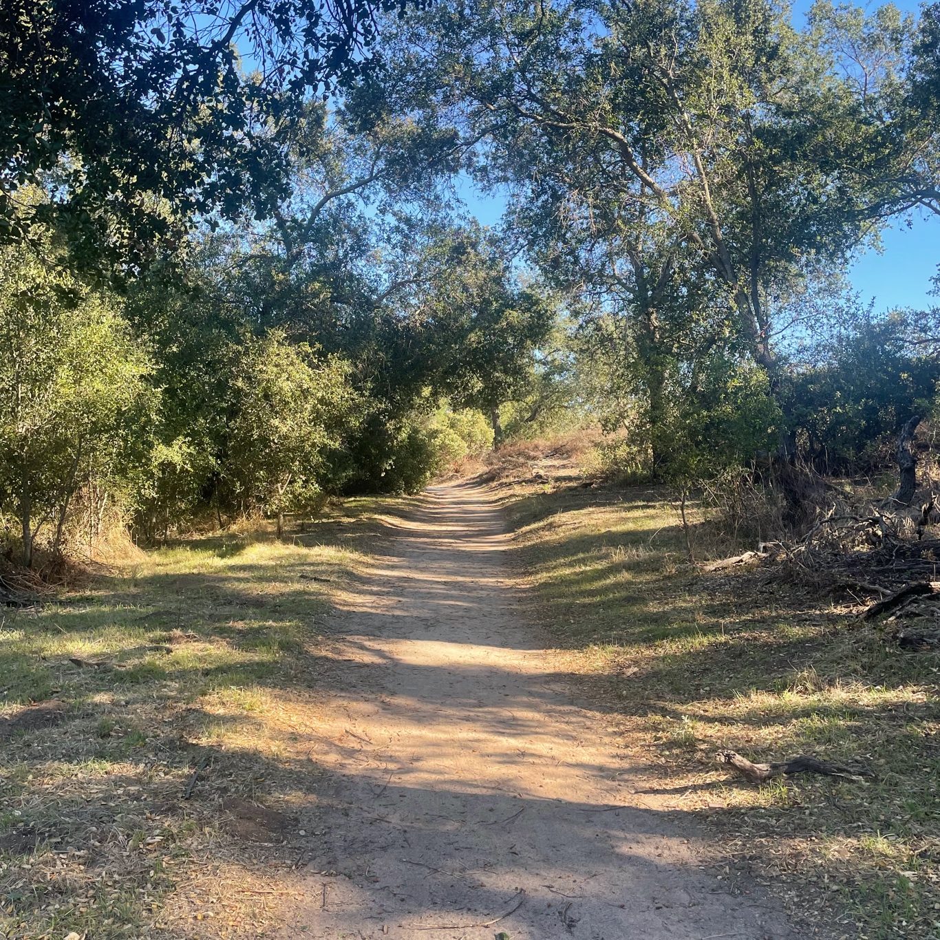 Path behind the houses