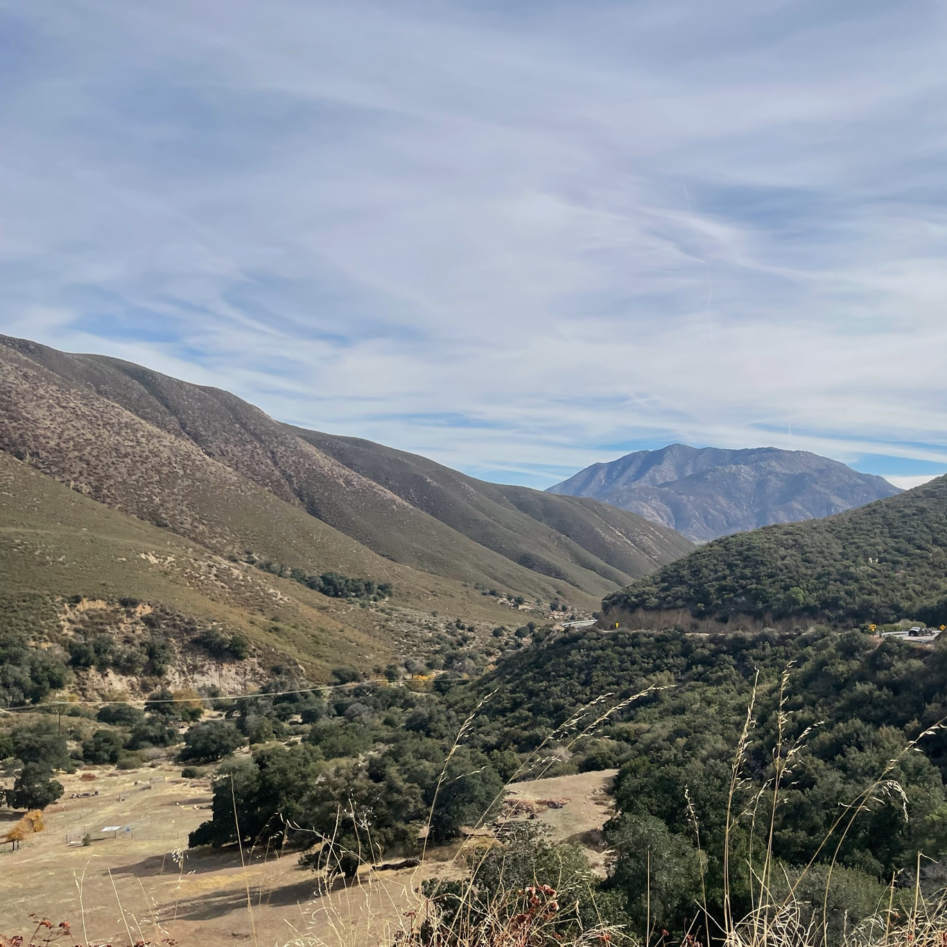 Climbing up to Julian