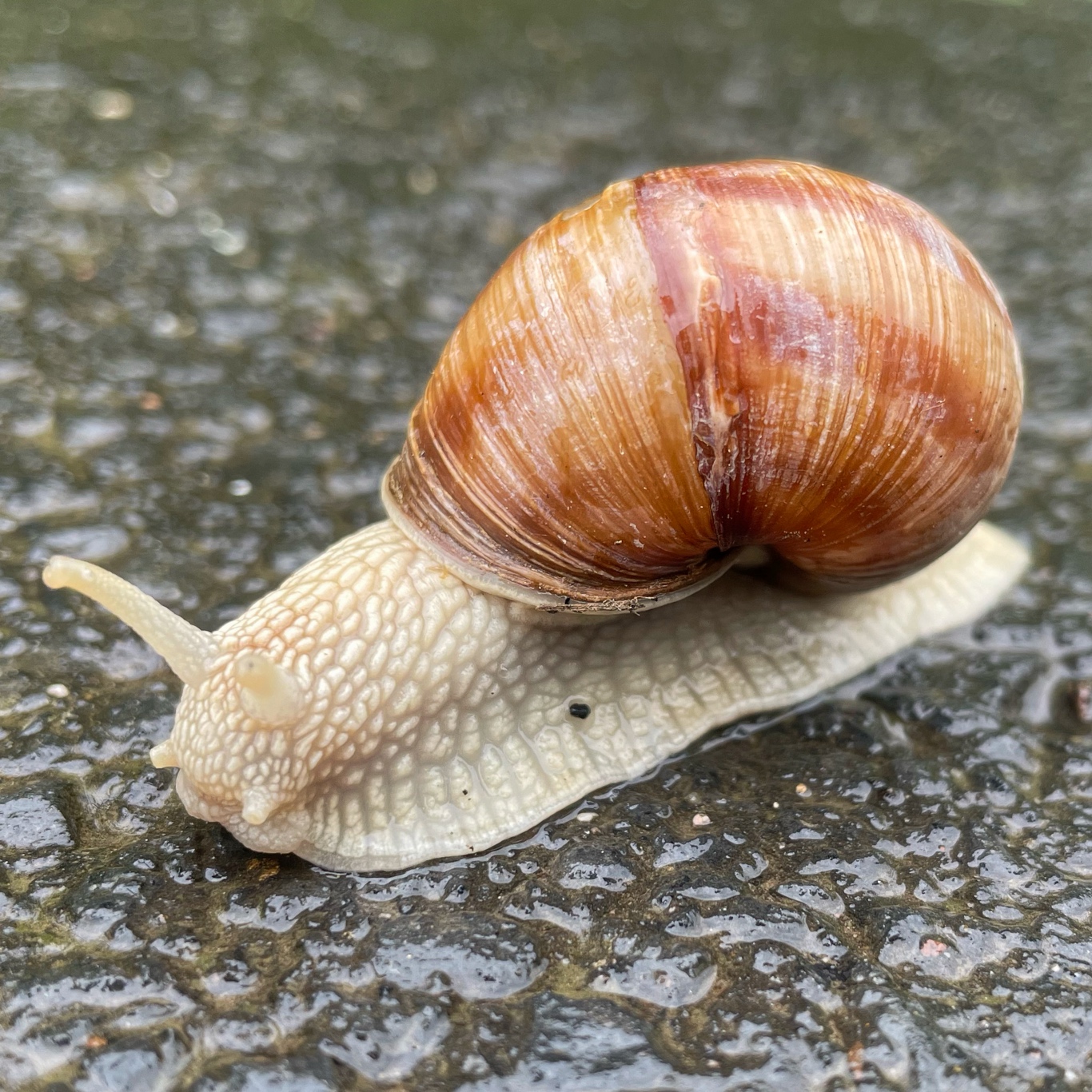 We have seen a lot of these