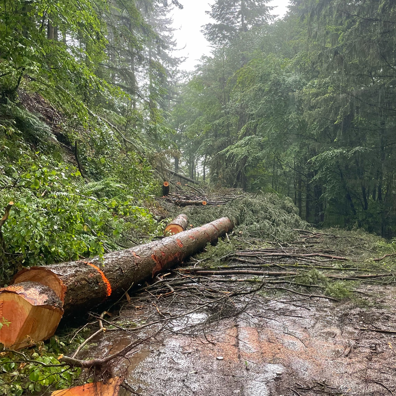 Thou shalt not pass!