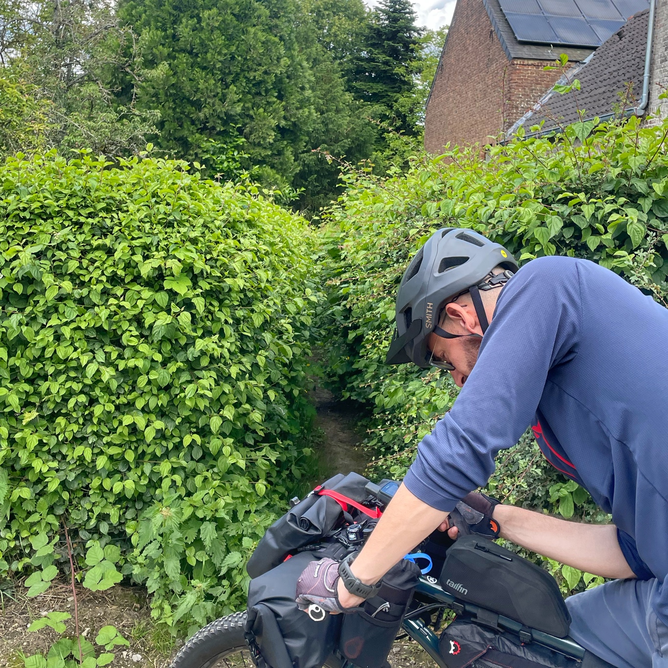 Overgrown single track