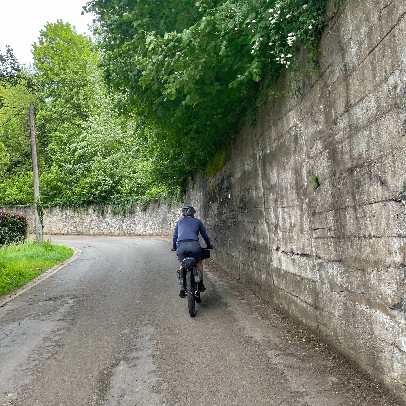 I think there’s a castle somewhere behind the wallls