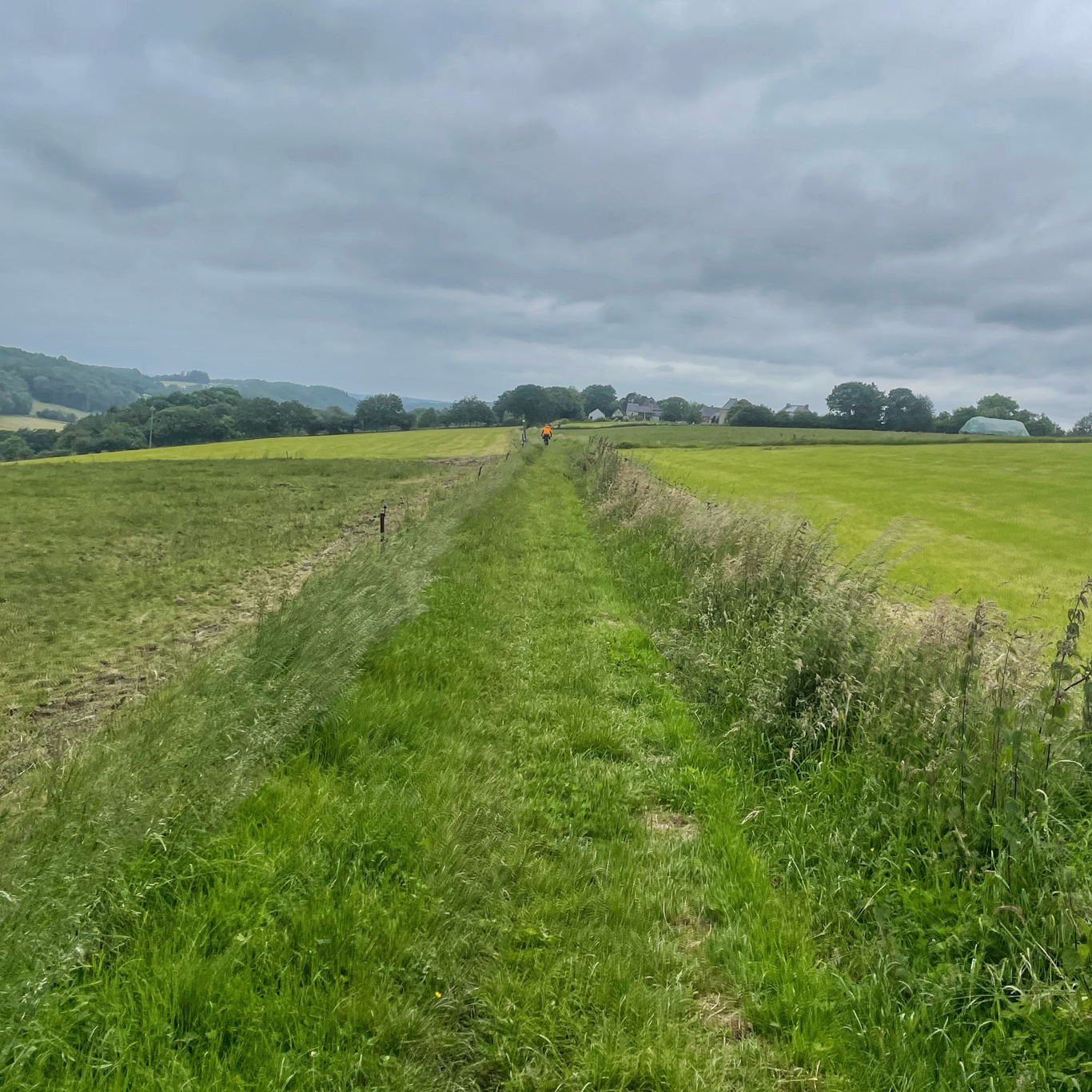 View from the fields