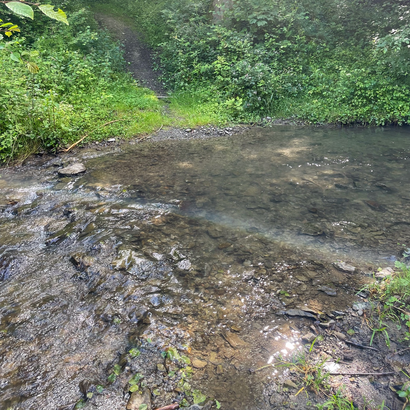 Let’s go another way?