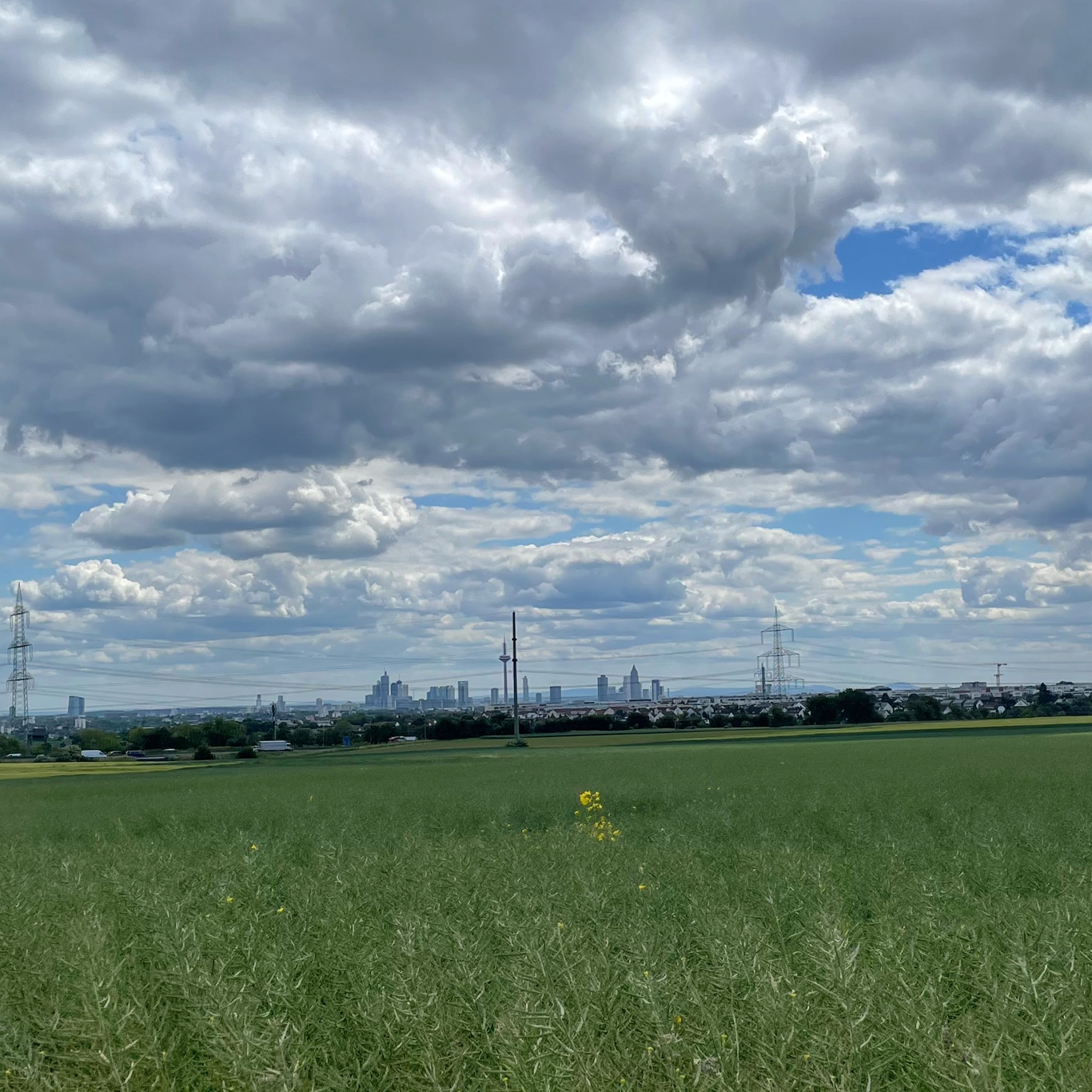 Skyline of Frankfurt Am Main