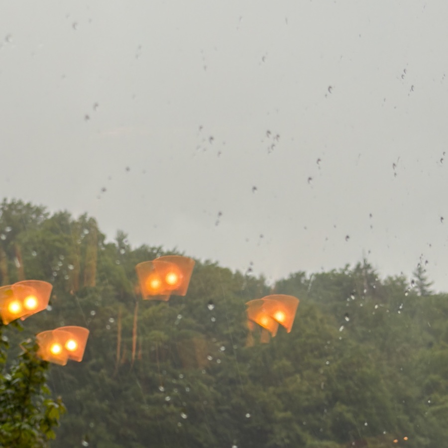Rain and thunder, luckily we're inside
