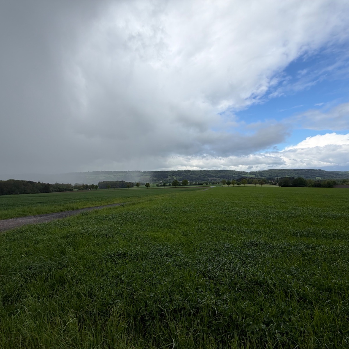 Rain and sunshine and rain and sunshine and …