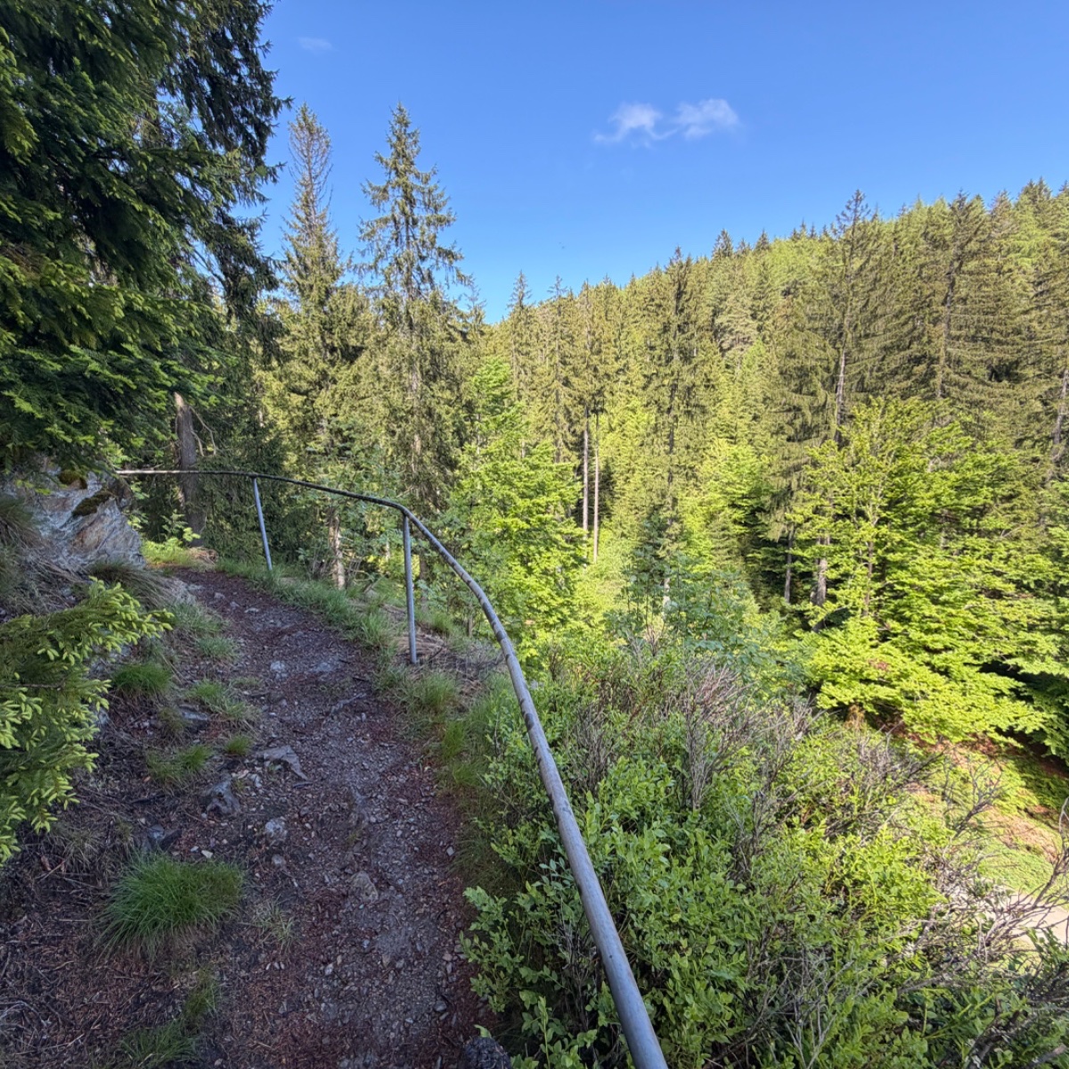 The viewpoint with rails