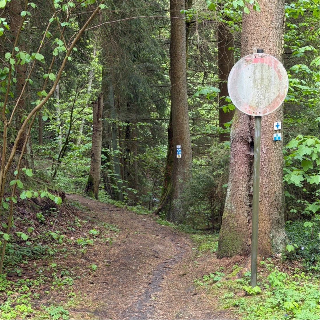 Fun flowing trails