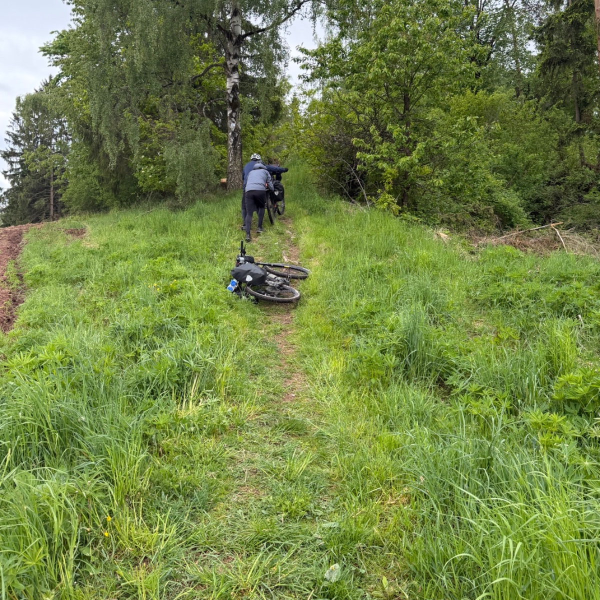 Pushing ebikes up the hill