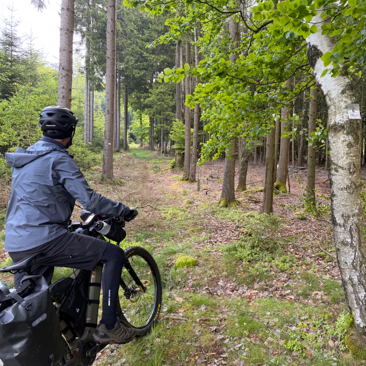 Gressens style adventure