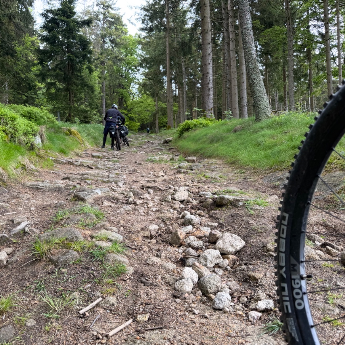 Nice and smooth trail, not!