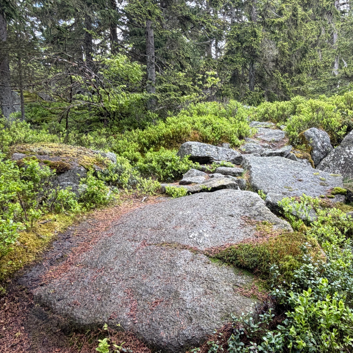 Rocky trails