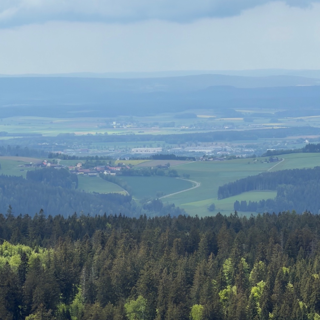 I think we cycled from here