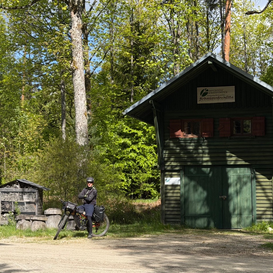 National forest cabin
