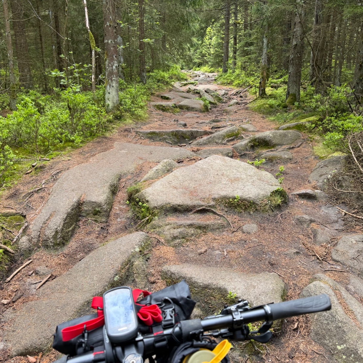 Not the smoothest trail